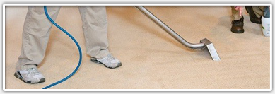 professional steam cleaners