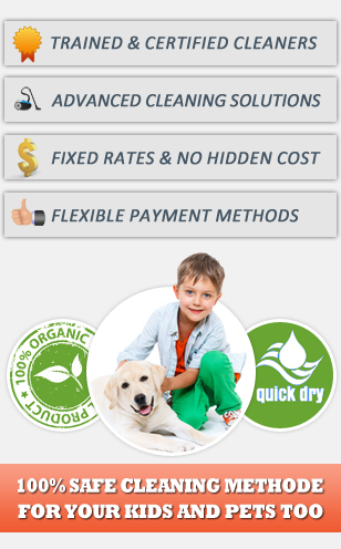 eco friendly cleaning